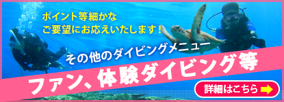 ファン、体験ダイビング